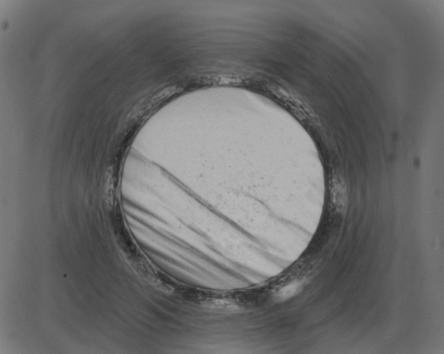 X0000081420594200702092136