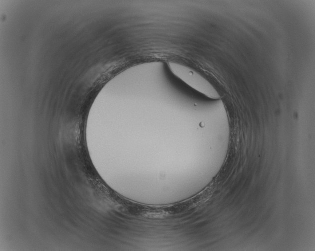 X0000081420595200702092136