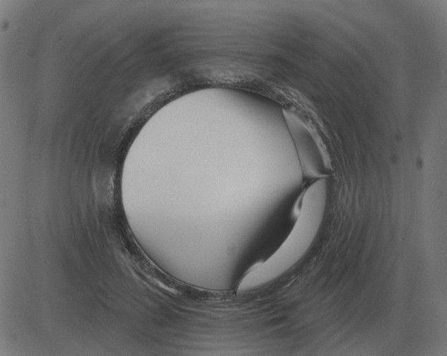 X0000081420596200702092136