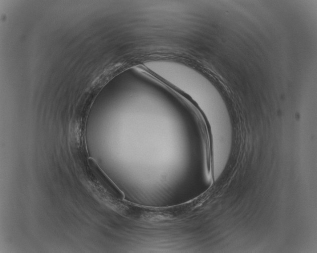 X0000081420597200702092136