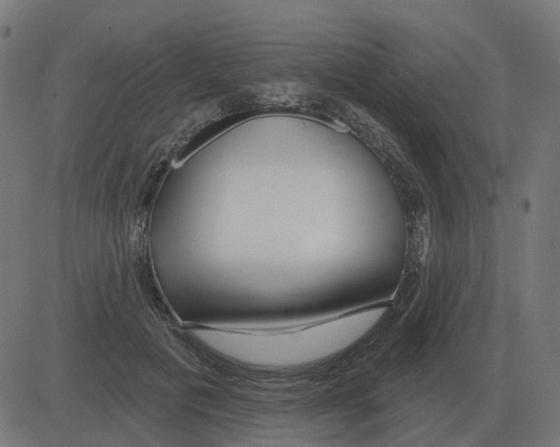 X0000081420601200702092136