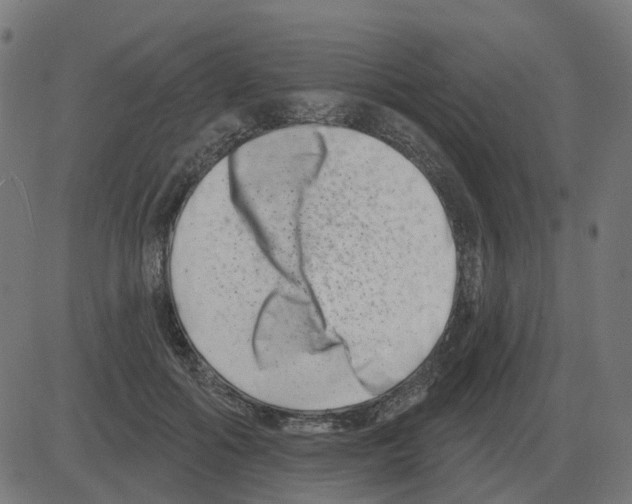 X0000081420602200702092135