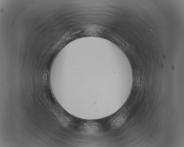 X0000081420603200702092135