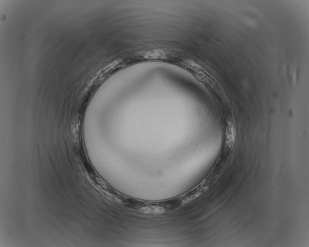 X0000081420604200702092135