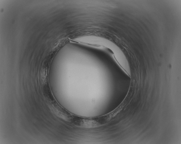 X0000081420605200702092135