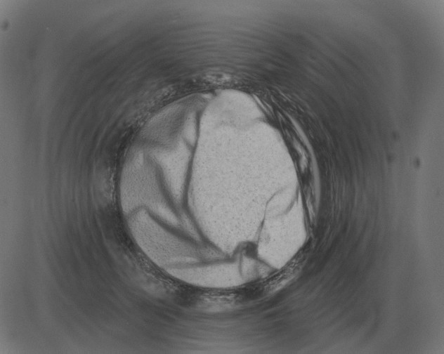 X0000081420606200702092135