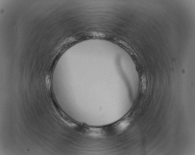 X0000081420609200702092135