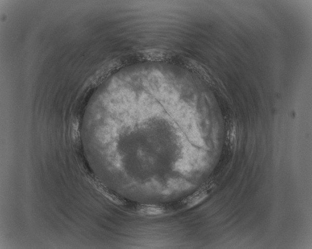 X0000081420610200702092135