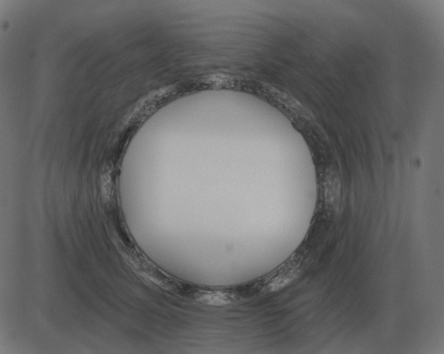 X0000081420611200702092135