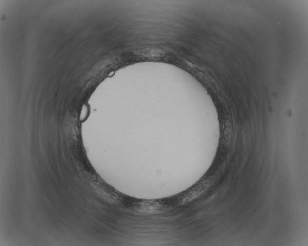 X0000081420612200702092135