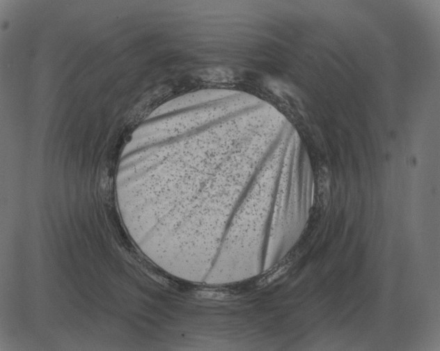 X0000081420614200702092135