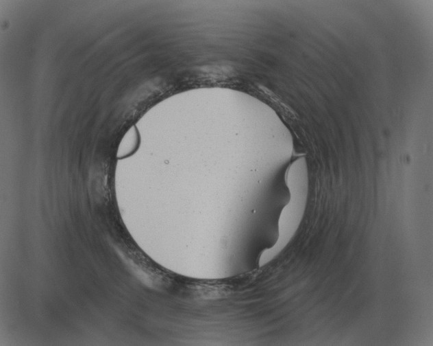 X0000081420615200702092135