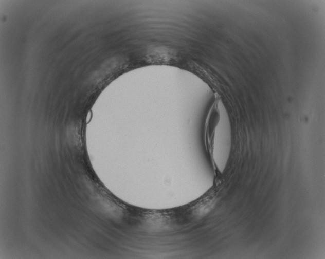 X0000081420616200702092135