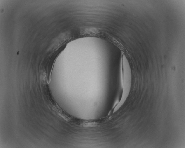 X0000081420617200702092135