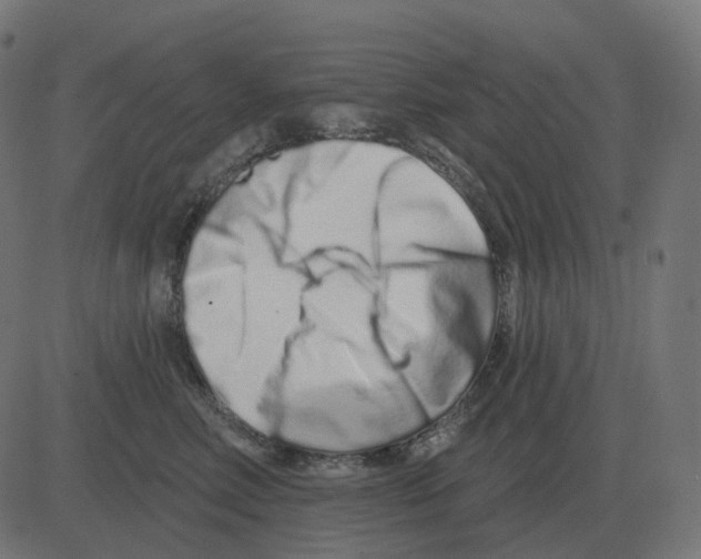 X0000081420618200702092135