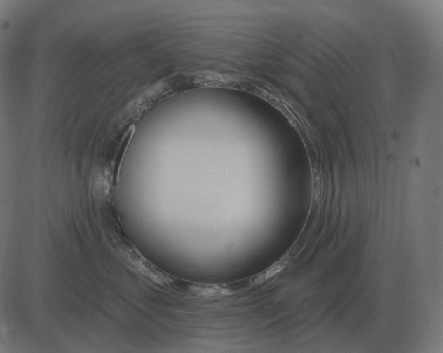 X0000081420621200702092135