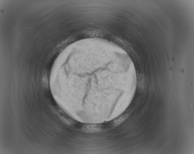 X0000081420622200702092135