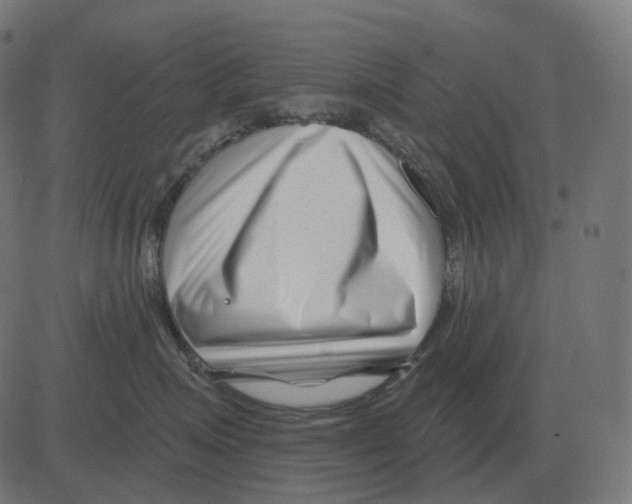 X0000081420623200702092135