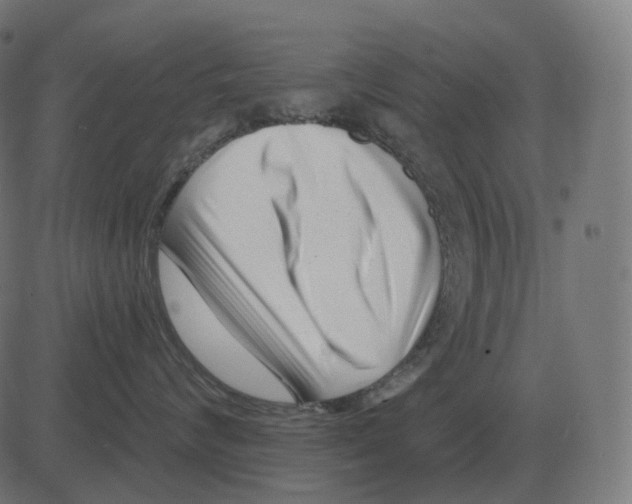 X0000081420624200702092135