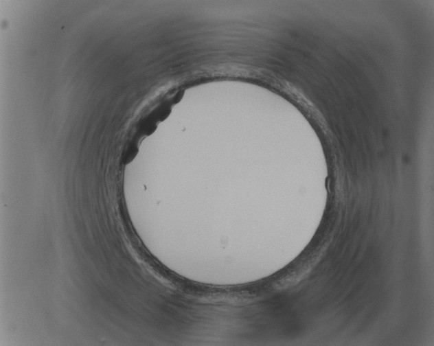 X0000081420625200702092134