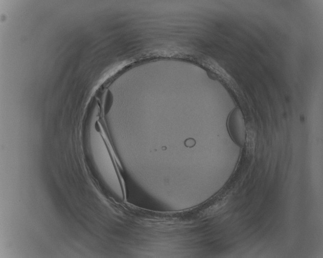 X0000081420626200702092134