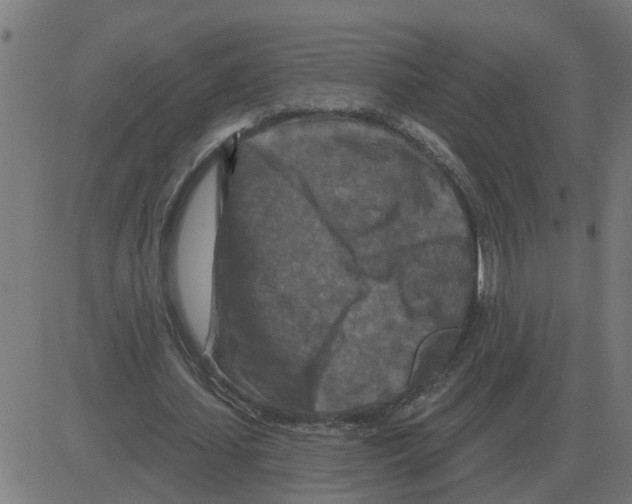 X0000081420627200702092134