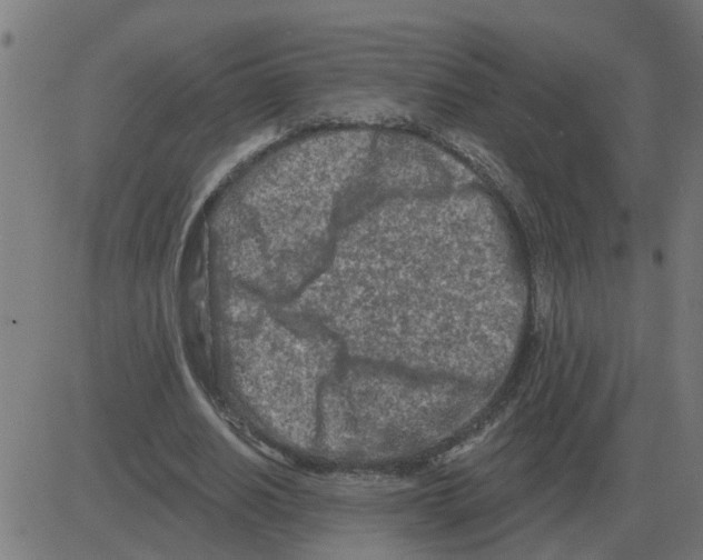 X0000081420630200702092134