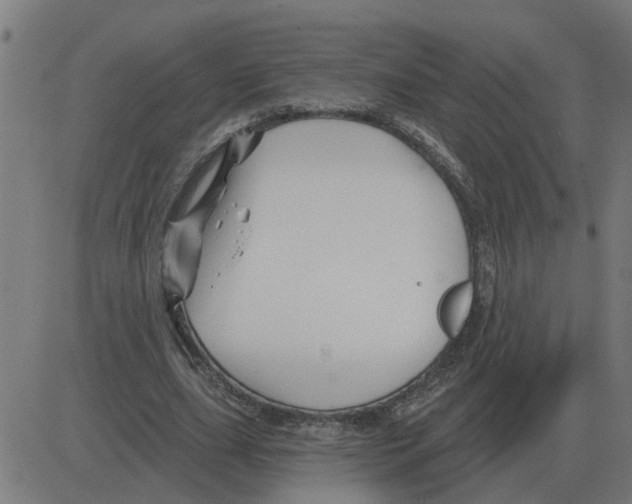 X0000081420631200702092134