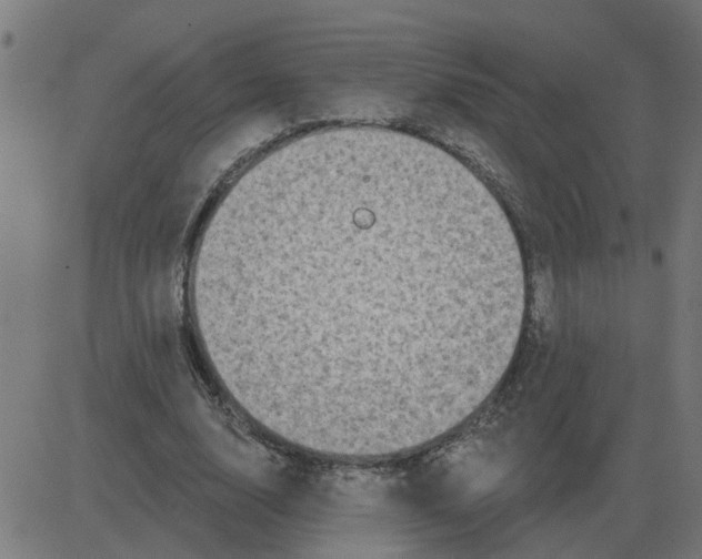 X0000081420632200702092134