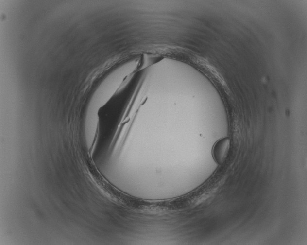 X0000081420633200702092134