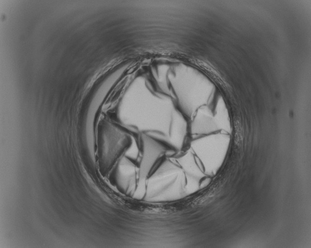 X0000081420634200702092134