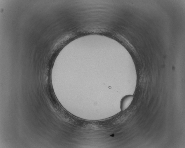 X0000081420635200702092135