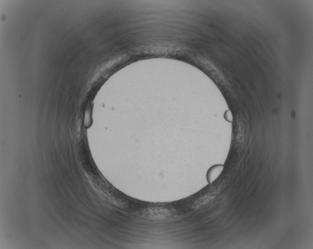 X0000081420636200702092135