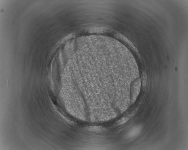 X0000081420637200702092135