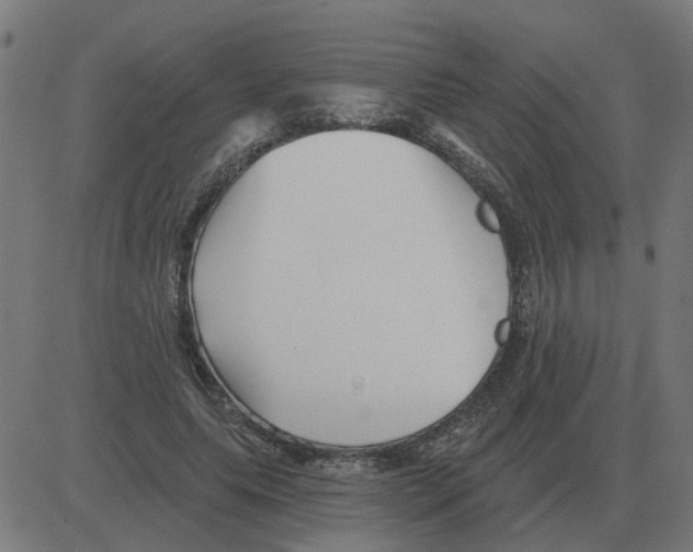 X0000081420639200702092135