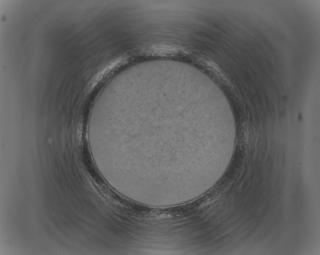 X0000081420640200702092135