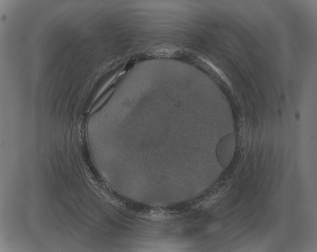 X0000081420641200702092135