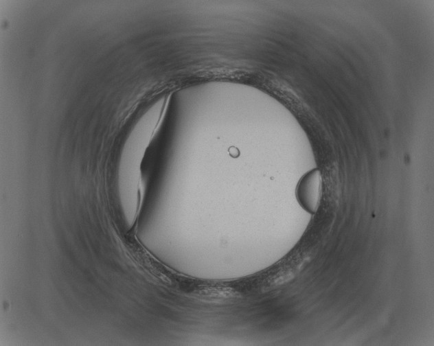 X0000081420642200702092135