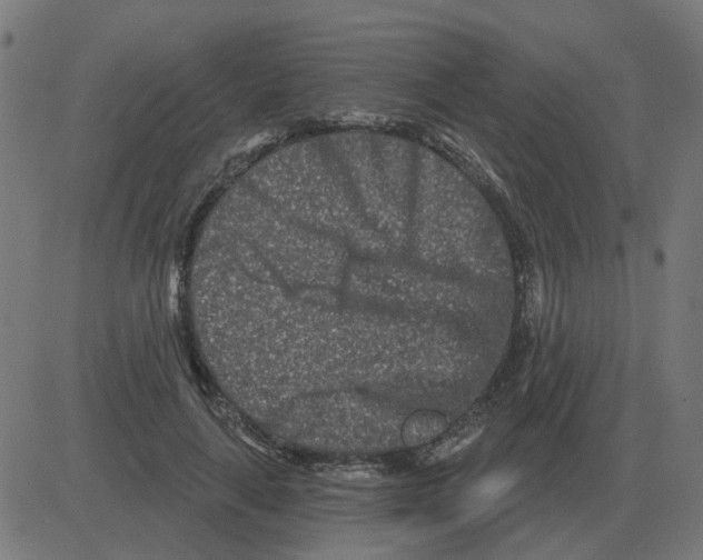 X0000081420643200702092135