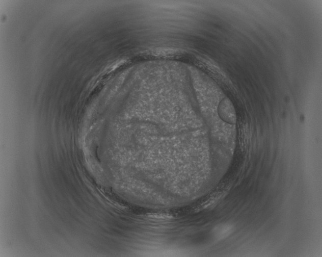 X0000081420644200702092135