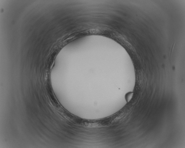 X0000081420645200702092135