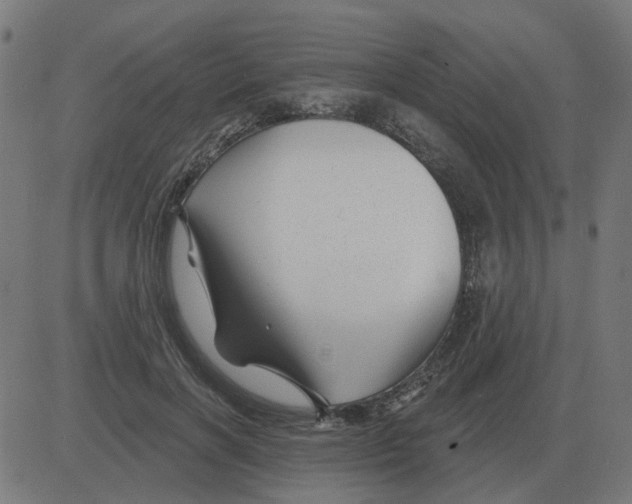 X0000081420646200702092135