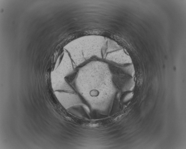 X0000081420647200702092135