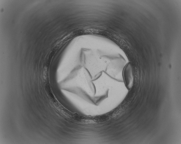 X0000081420649200702092135