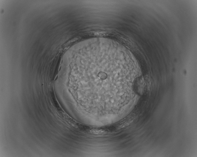 X0000081420650200702092135