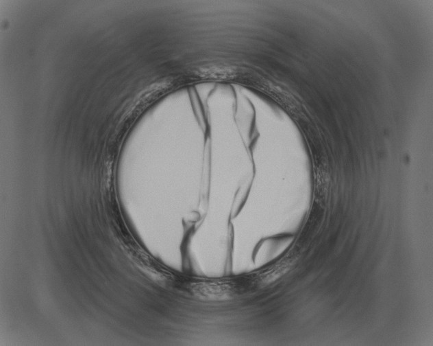 X0000081420652200702092135