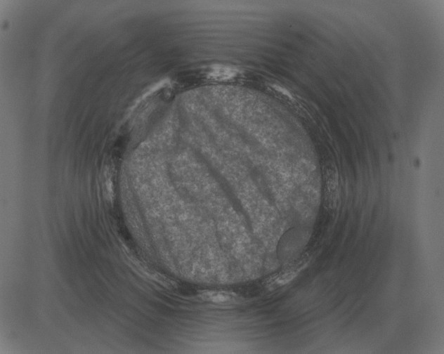 X0000081420654200702092135