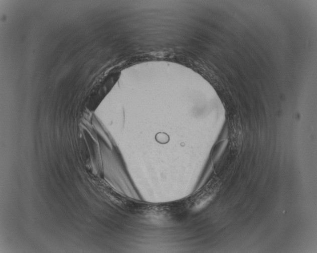 X0000081420656200702092135