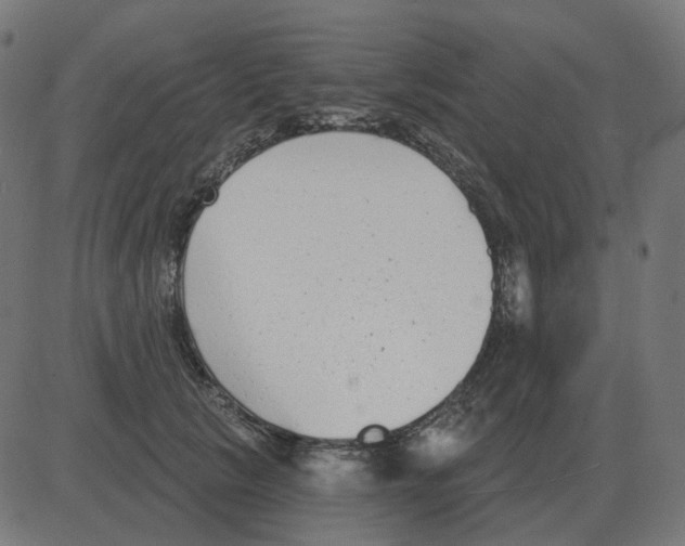 X0000081420657200702092135