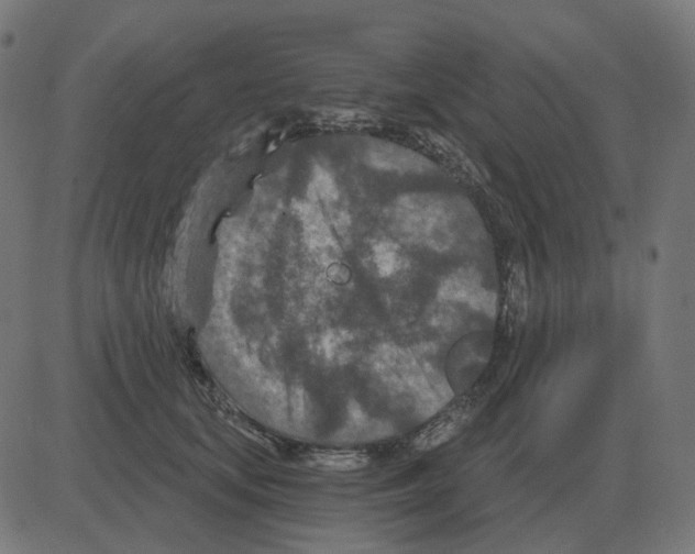 X0000081420659200702092135